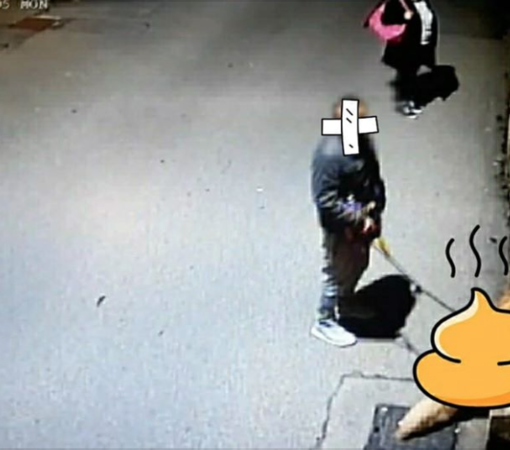 Non pulisce gli escrementi del cane: rischia 800 euro di multa