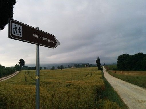 Tirocini extracurricolari, nuovo avviso per candidarsi al progetto Via Francigena for All.