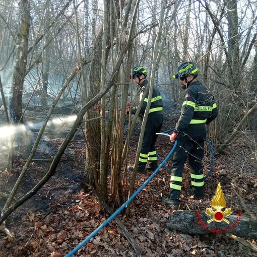 Incendio tra Rovasenda e Roasio: Vigili del Fuoco e Aib domano il rogo Incendio tra Rovasenda e Roasio: Vigili del Fuoco e Aib domano il rogo