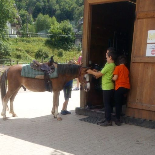 Scopello: Tanti bambini per il battesimo del cavallo al centro ippico