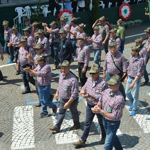 Adunata nazionale degli Alpini a Rimini, rinvio a settembre
