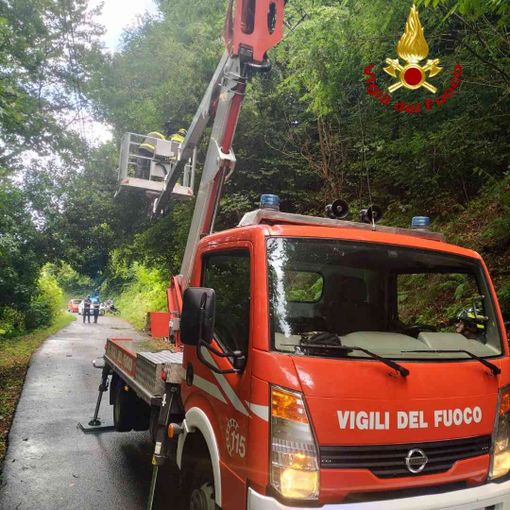 Alberi pericolanti in Valsesia, intervengono i Vigili del fuoco.