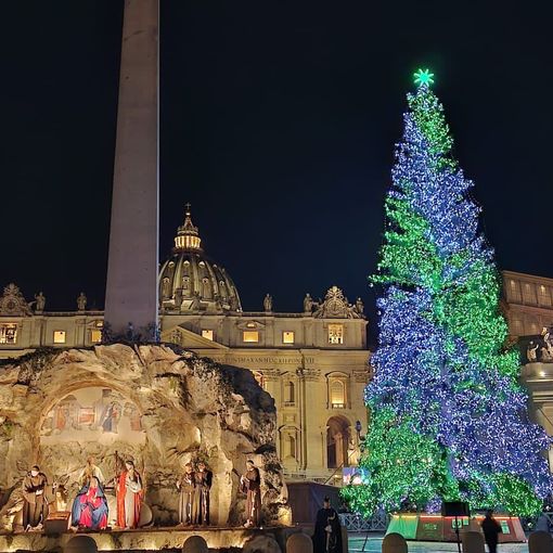 L’Albero dono di Macra e delle montagne del Piemonte brilla in piazza San Pietro in Vaticano