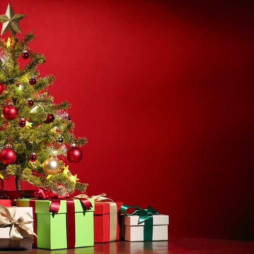 ASCOM Vercelli accende l'Albero dei Piccoli Artisti.