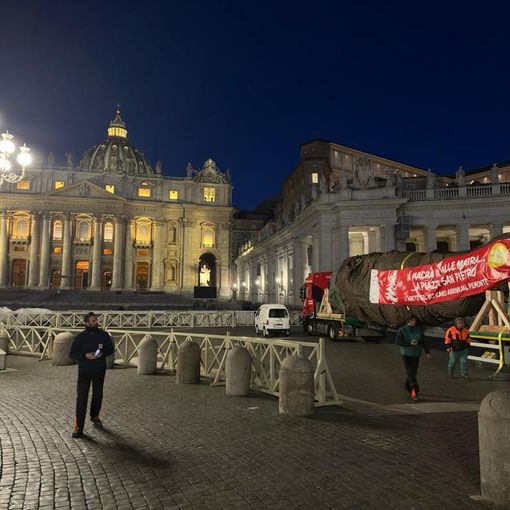 Domani l'accensione dell'albero a Roma donato dal Piemonte a Papa Francesco