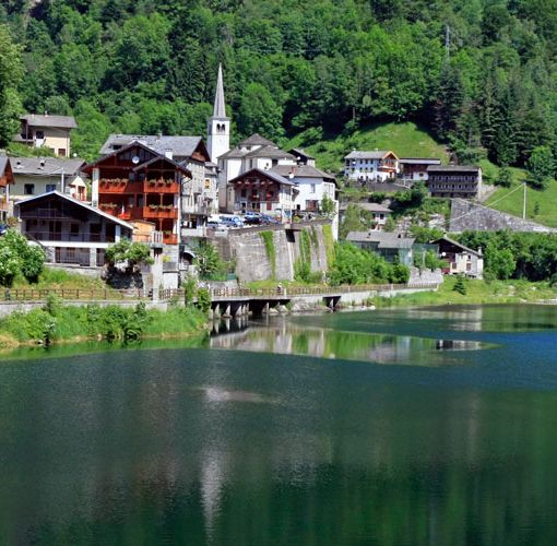 Alto Sermenza, l’ambizioso progetto di un Parco Avventura all’Alpe Campo