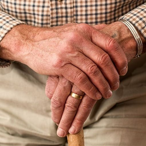 Riprendono le attività del centro Alzheimer di Portula
