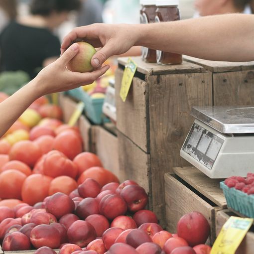 Arriva il “Mecà d’na virä ” a Lozzolo, cibo a km 0 dal produttore al consumatore