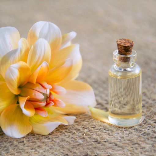 Bellezza green: dieci oli vegetali per prendersi cura del corpo