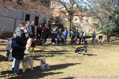 Parco Bau, nuovi appuntamenti per gli amici a quattro zampe a Pray
