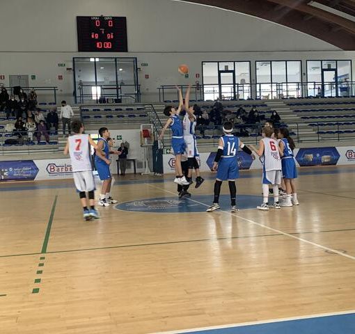 Barberi Valsesia Basket Academy: Campionato under 13 masch.