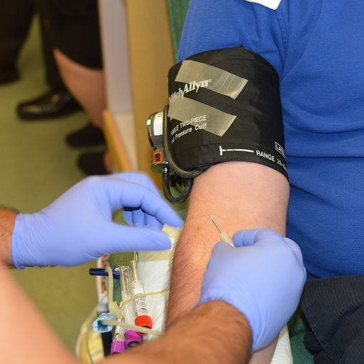 Il comune di Gattinara e l'Avis insieme per una campagna di Sensibilizzazione rivolta ai neo maggiorenni
