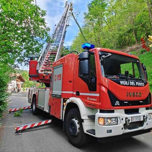 Albero pericolante a Borgosesia, intervengono i Vigili del Fuoco