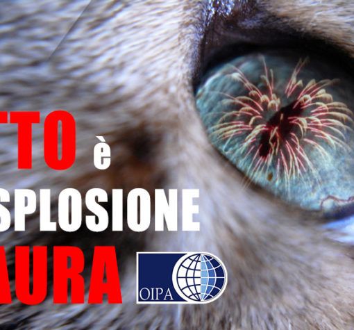 Botti di Capodanno: il decalogo di OIPA per proteggere gli animali