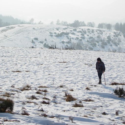 Sulla dorsale innevata (ph. Mauro Carlesso)