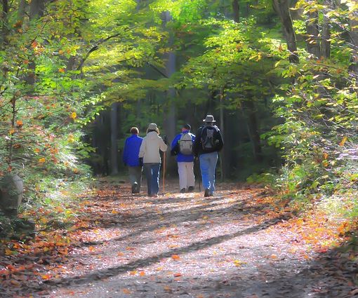 Montagne covid free: il piano piemontese