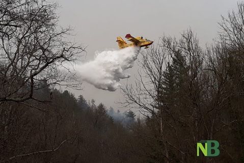 L'incendio di Postua sconfina ad Ailoche, in azione due Canadair