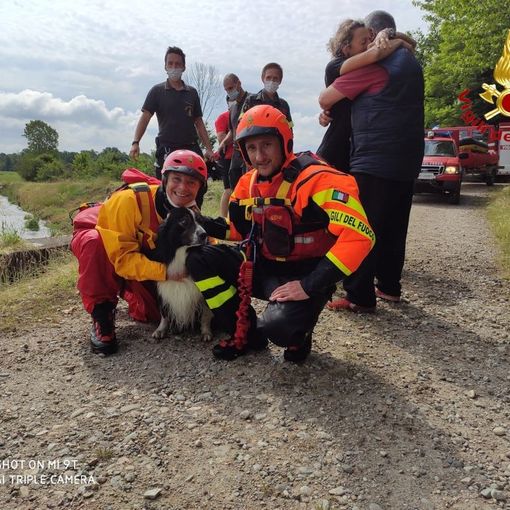 Cane incastrato in uno scolo dell'acqua sotterraneo salvato dai Vigili del Fuoco.