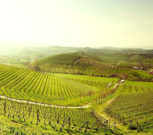 Piemonte da scoprire: un itinerario tra arte, enogastronomia e shopping con Torino Outlet Village