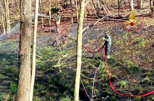 Cavi elettrici tranciati da un albero: incendio sopra Quarona