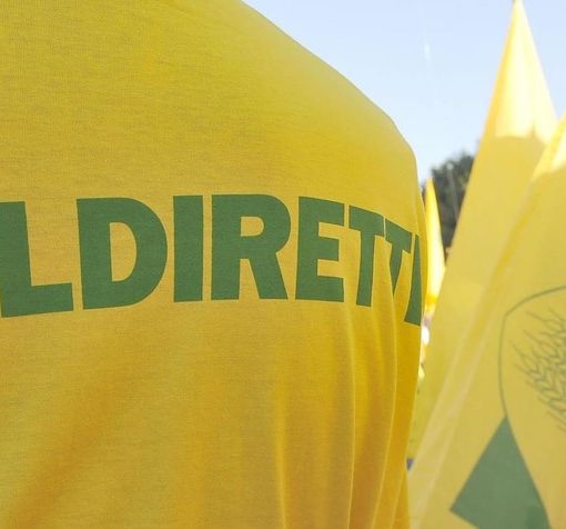 Foto di repertorio