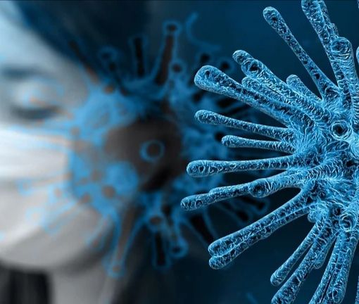 Coronavirus Piemonte, decessi invariati. Altri 16 contagi e 14 guarigioni