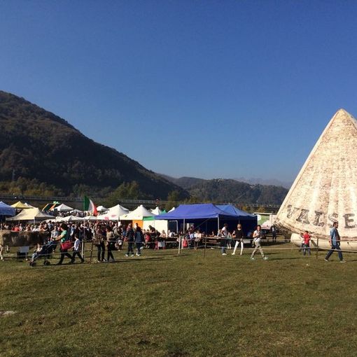 Foto della scorsa edizione