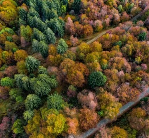Lo spettacolo del foliage all’Oasi Zegna