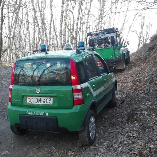 Carabinieri forestali, da oggi mercoledì 8 aprile stato di massima pericolosità incendi boschivi