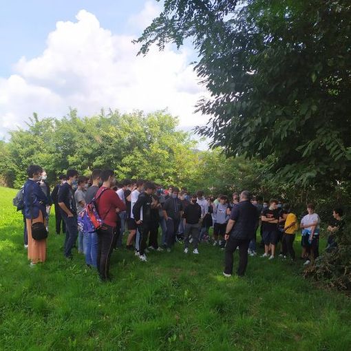 Gli alberi tengono le lezioni agli studenti dell'Ipsia Magni e dell'Iti Lirelli