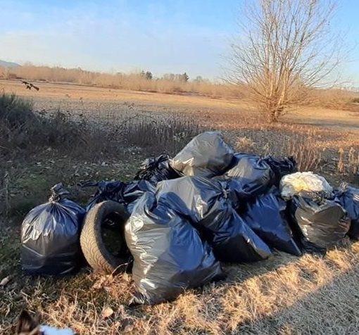 Sacchi di rifiuti abbandonati in mezzo alla campagna di Ghemme