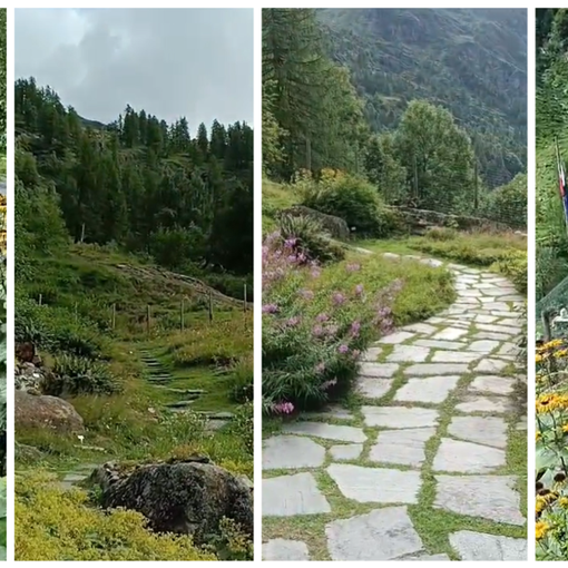 Un'immersione nella natura: al Giardino Botanico di Alagna un anfiteatro naturale.