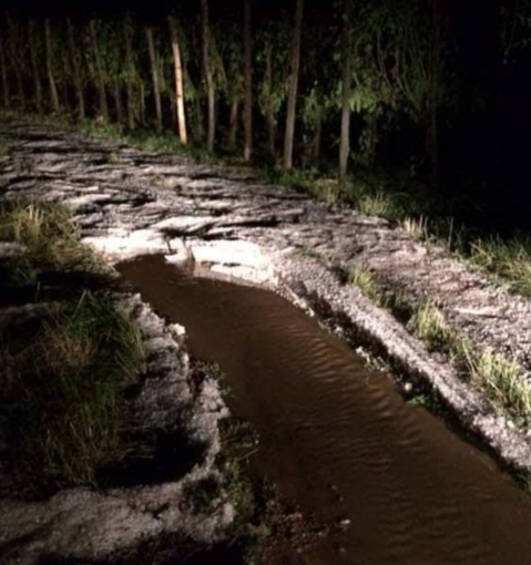 Grandinata a Gattinara, si contano i danni