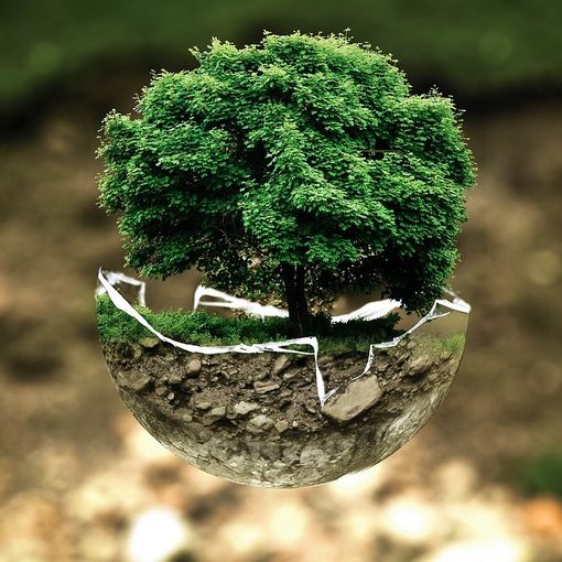 Finanziato bando regionale “Green Communities Piemonte”, UNCEM: “Siamo regione modello”.