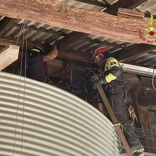 Gufetti restano intrappolati: a salvarli ci pensano i Vigili del Fuoco