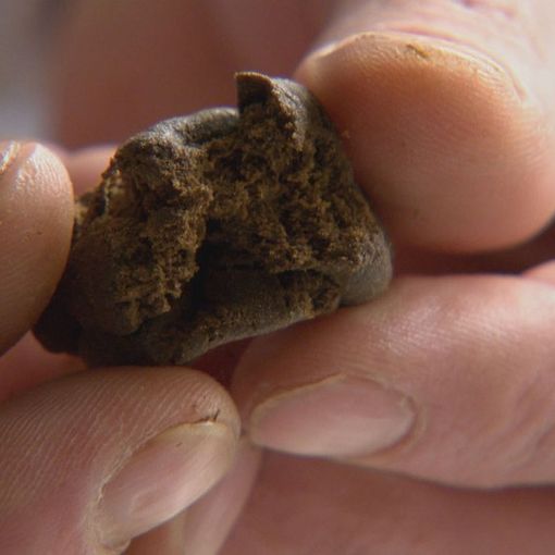 Fermata con l'hashish: segnalata una 30enne