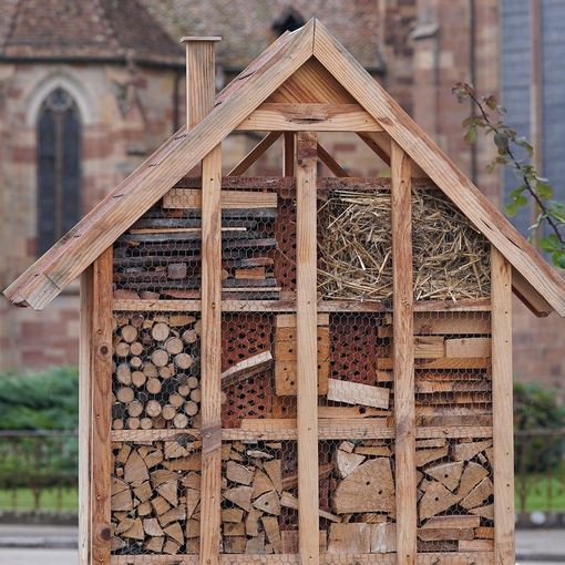 Ambiente e biodiversità a Lozzolo un albergo gratuito… per tutti gli insetti.