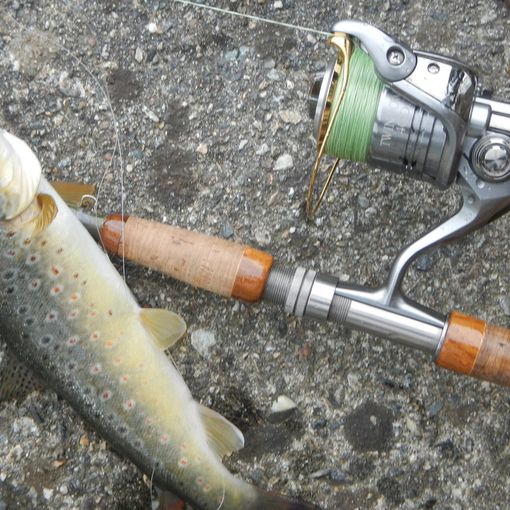 Istituito il divieto di pesca temporaneo nei torrenti Sizzone e Agogna