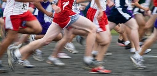 Gattinara, un allenamento ricreativo in vista della Brutal Wine Marathon