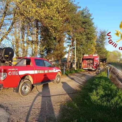 Incendio Sterpaglie lungo argine del CERVETTO impegna i Vigili del Fuoco  VIDEO