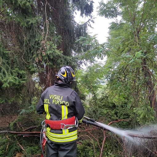 Paura a Pray, un fulmine colpisce in pieno un pino vicino alla chiesa di Flecchia