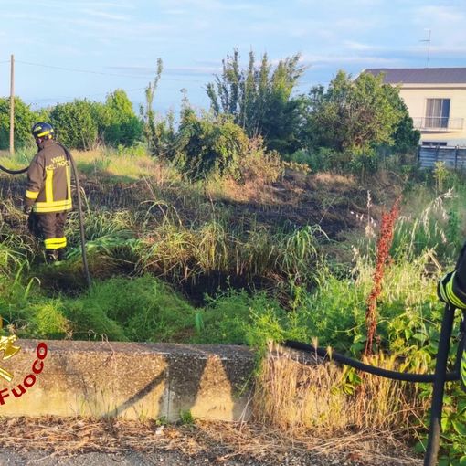 Incendio sterpaglie a Trino