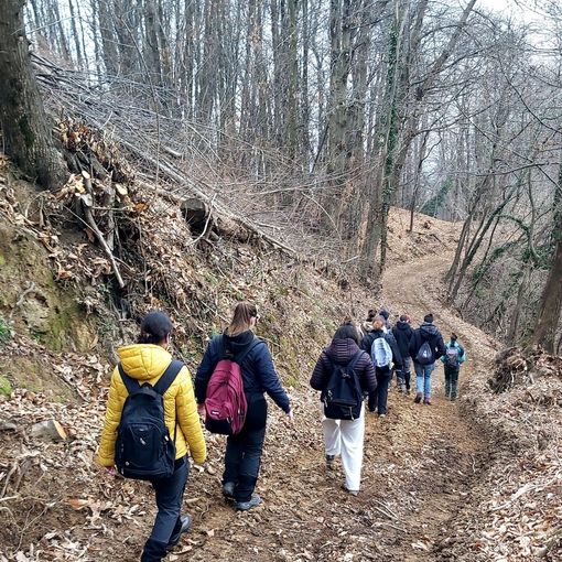 Istituto Bonfantini: lezione sul campo del progetto filiera del legno