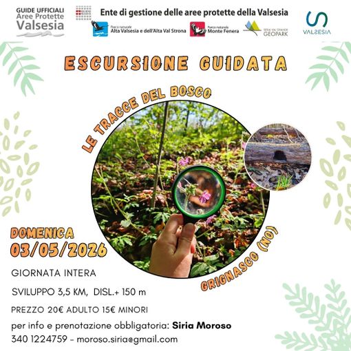 Grignasco, escursione guidata alla scoperta delle tracce del bosco Grignasco, escursione guidata alla scoperta delle tracce del bosco