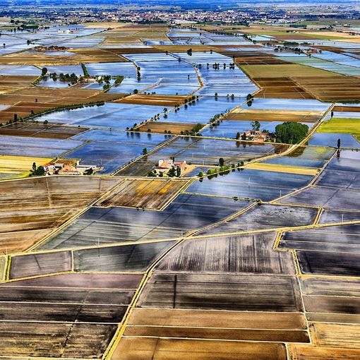 Risicoltura, Piemonte insieme a Lombardia ed Ente Risi a sostegno del comparto