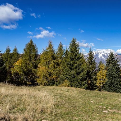 Questo weekend l’ultima apertura estiva della seggiovia Scopello-Mera. Gli impianti di Alagna saranno in funzione fino a domenica 18 settembre.