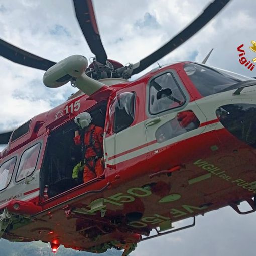 Mucca caduta nel torrente, arriva il Drago dei Vigili del Fuoco