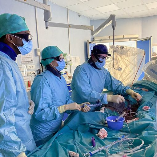 Congresso Internazionale di Cardiologia. Dall’ospedale di Vercelli e per la prima volta da remoto un delicato intervento al cuore tramite 'smart glasses'