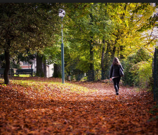 Borgosesia, parco Magni: In arrivo il bando 2022-2027