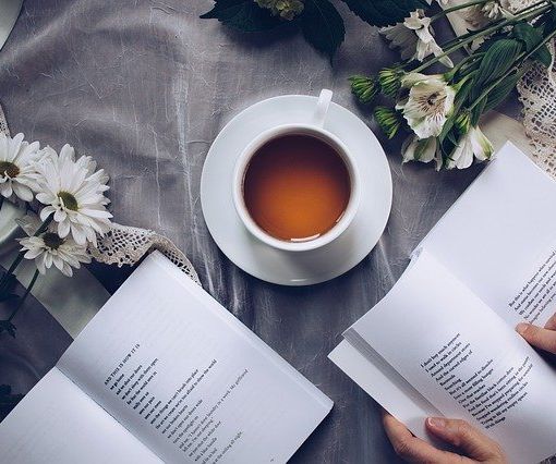 Da Stoccolma a Vercelli: inaugurazione del Festival di poesia civile  mercoledì con il premio alla carriera a Jesper Svenbro